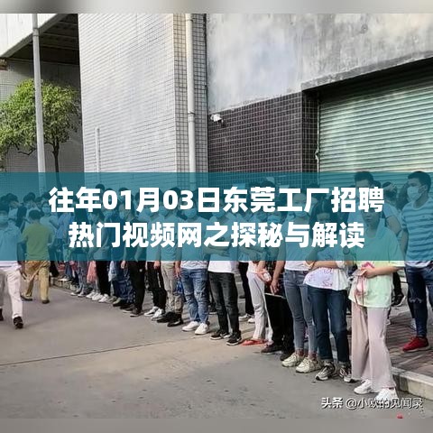 东莞工厂招聘热门视频网探秘解读