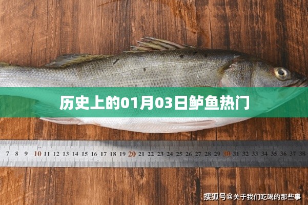 历史上的鲈鱼盛事，一月三日回顾