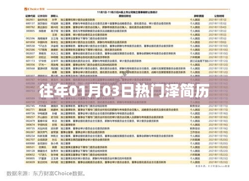 历年一月初热门泽个人简历回顾