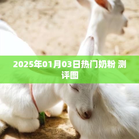 2025年热门奶粉测评图全解析