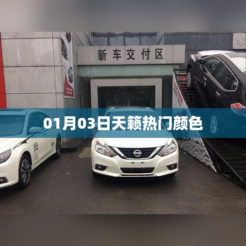 天籁热门颜色大盘点，时尚之选，不容错过