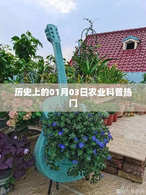 历史上的今日，一月三日农业科普知识热点
