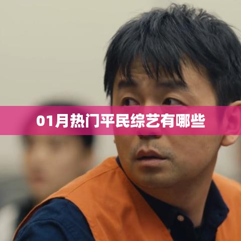 01月热门平民综艺节目大盘点