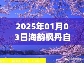 海韵枫丹自由行指南，热门攻略揭秘
