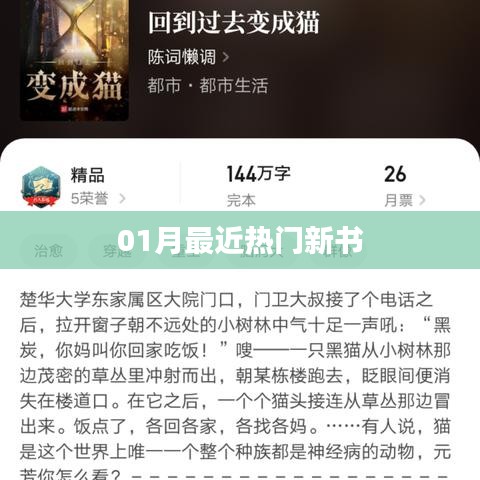 本月热门新书推荐