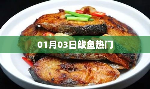 鲅鱼热门事件，最新动态揭秘