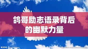 鸽哥励志语录背后的幽默力量