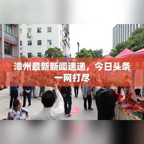 漳州最新新闻速递，今日头条一网打尽