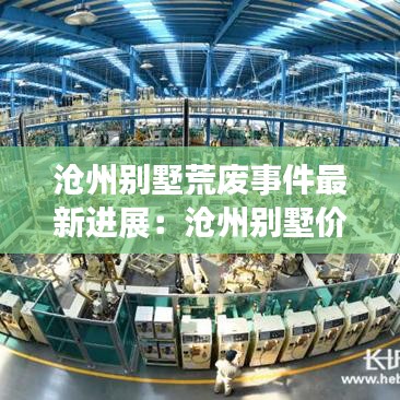 沧州别墅荒废事件最新进展：沧州别墅价格多少钱一平 