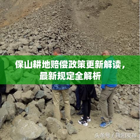 保山耕地赔偿政策更新解读，最新规定全解析