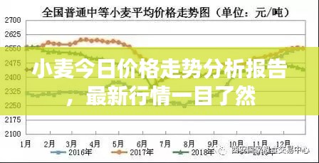 小麦今日价格走势分析报告，最新行情一目了然