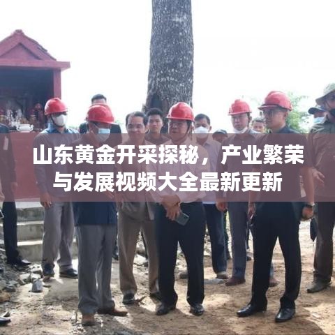 山东黄金开采探秘，产业繁荣与发展视频大全最新更新