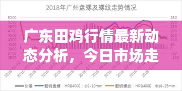 广东田鸡行情最新动态分析，今日市场走势揭秘