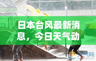 日本台风最新消息，今日天气动态及影响报告