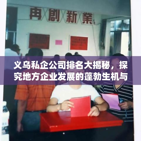 义乌私企公司排名大揭秘，探究地方企业发展的蓬勃生机与活力