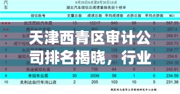 天津西青区审计公司排名揭晓，行业影响力榜单重磅出炉！