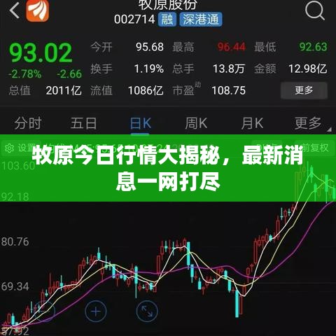 牧原今日行情大揭秘，最新消息一网打尽