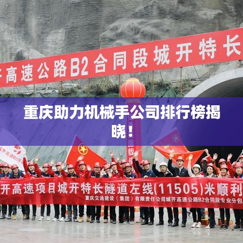重庆助力机械手公司排行榜揭晓！