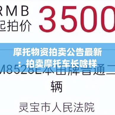 摩托物资拍卖公告最新：拍卖摩托车长啥样 