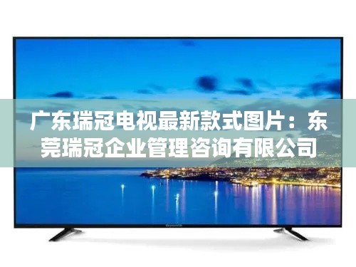 广东瑞冠电视最新款式图片：东莞瑞冠企业管理咨询有限公司 