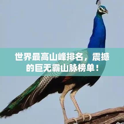 世界最高山峰排名，震撼的巨无霸山脉榜单！