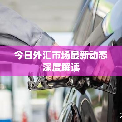 今日外汇市场最新动态深度解读