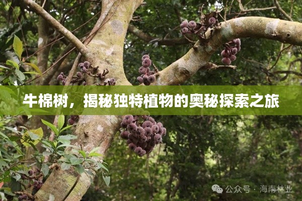 欣喜若狂 第3页