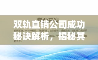 双轨直销公司成功秘诀解析，揭秘其排名背后的秘诀