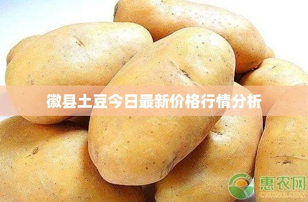 徽县土豆今日最新价格行情分析