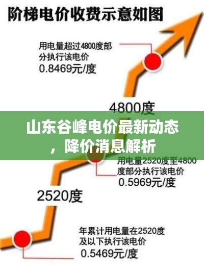 山东谷峰电价最新动态，降价消息解析