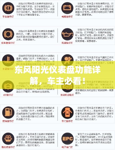 东风阳光仪表盘功能详解，车主必看！