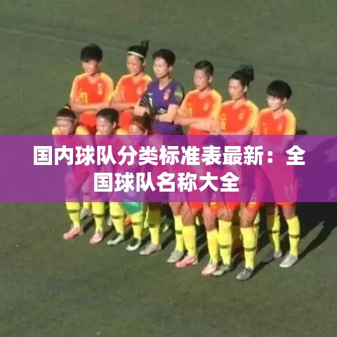 国内球队分类标准表最新：全国球队名称大全 