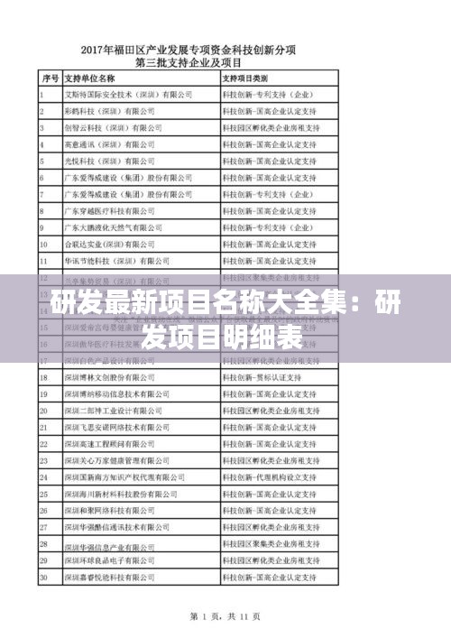 研发最新项目名称大全集：研发项目明细表 