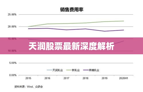 天润股票最新深度解析