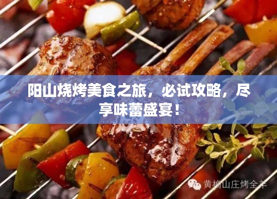 阳山烧烤美食之旅，必试攻略，尽享味蕾盛宴！