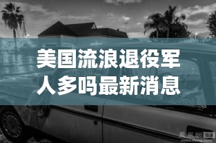 美国流浪退役军人多吗最新消息：美国退伍老兵流浪汉 