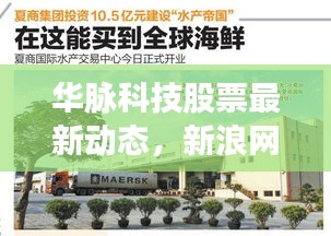 华脉科技股票最新动态，新浪网权威消息一网打尽