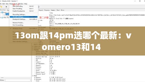 13om跟14pm选哪个最新：vomero13和14 