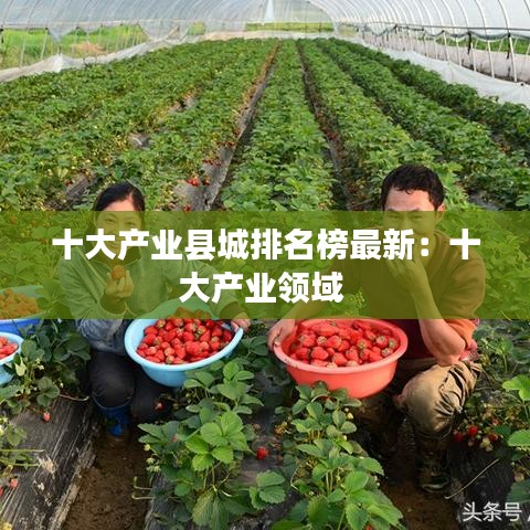 十大产业县城排名榜最新：十大产业领域 