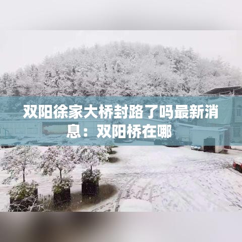 双阳徐家大桥封路了吗最新消息：双阳桥在哪 