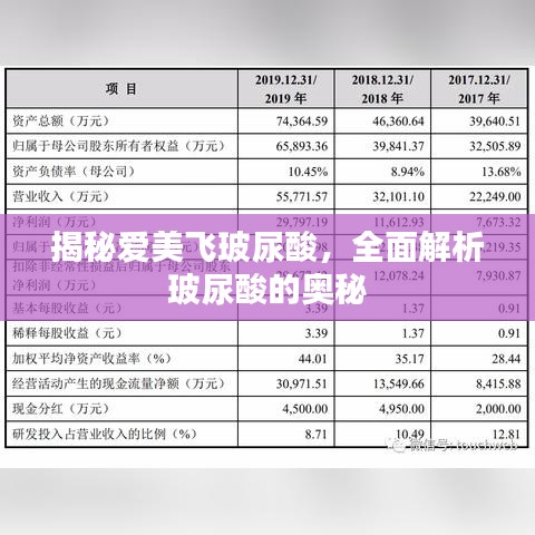 揭秘爱美飞玻尿酸，全面解析玻尿酸的奥秘