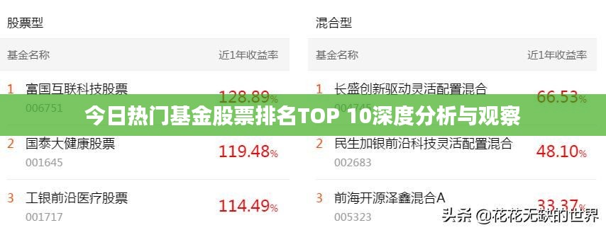 今日热门基金股票排名TOP 10深度分析与观察