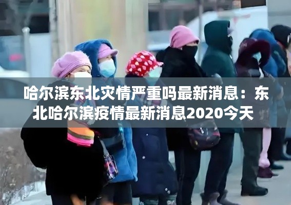 哈尔滨东北灾情严重吗最新消息：东北哈尔滨疫情最新消息2020今天 
