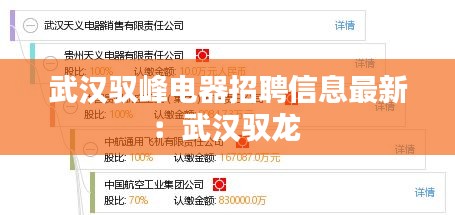 武汉驭峰电器招聘信息最新：武汉驭龙 
