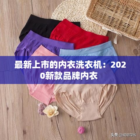 最新上市的内衣洗衣机：2020新款品牌内衣 