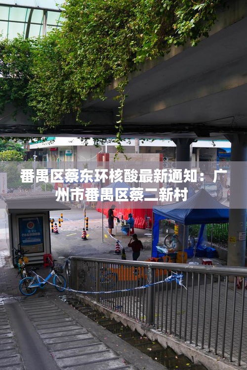 番禺区蔡东环核酸最新通知：广州市番禺区蔡二新村 