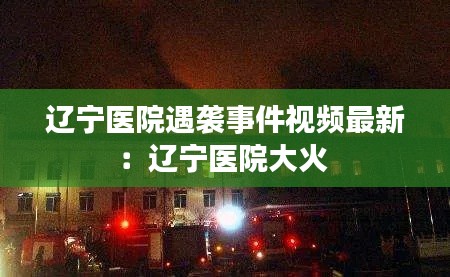 辽宁医院遇袭事件视频最新：辽宁医院大火 