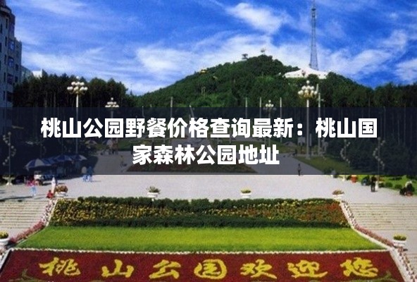 桃山公园野餐价格查询最新：桃山国家森林公园地址 