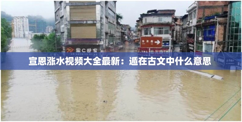 宣恩涨水视频大全最新：遁在古文中什么意思 
