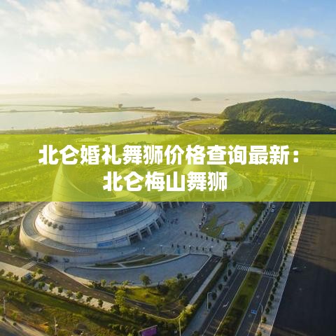 北仑婚礼舞狮价格查询最新：北仑梅山舞狮 